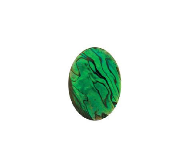 Paua Shell  Green - 5x7 Oval