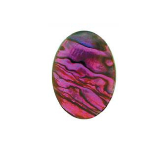 Purple Paua Shell Oval High Quality Cabochon Calibrated- 13x18