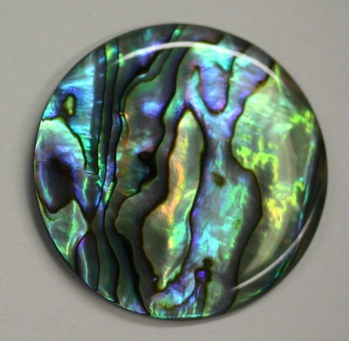 Natural Abalone Paua Shell Round Cabochon - 25mm