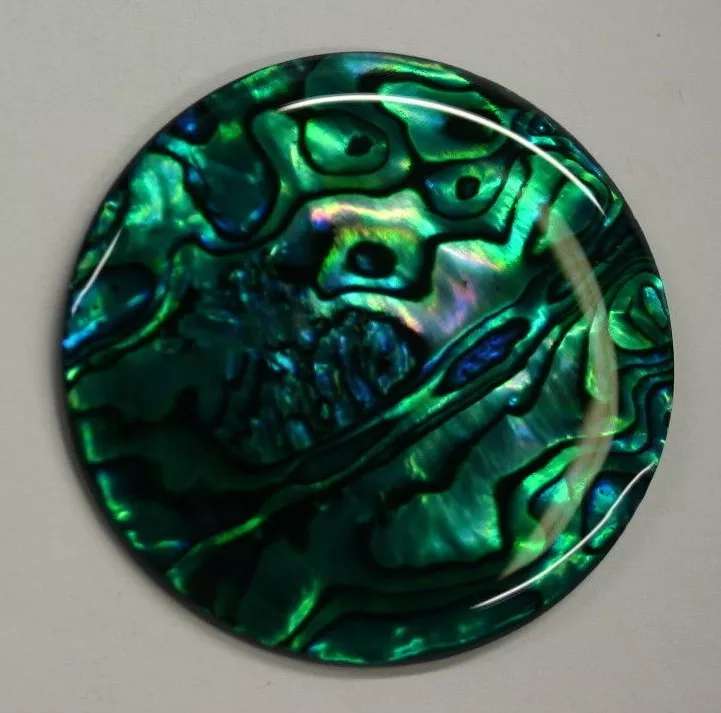 4pcs Green Paua Shell Round Cabochon 12mm