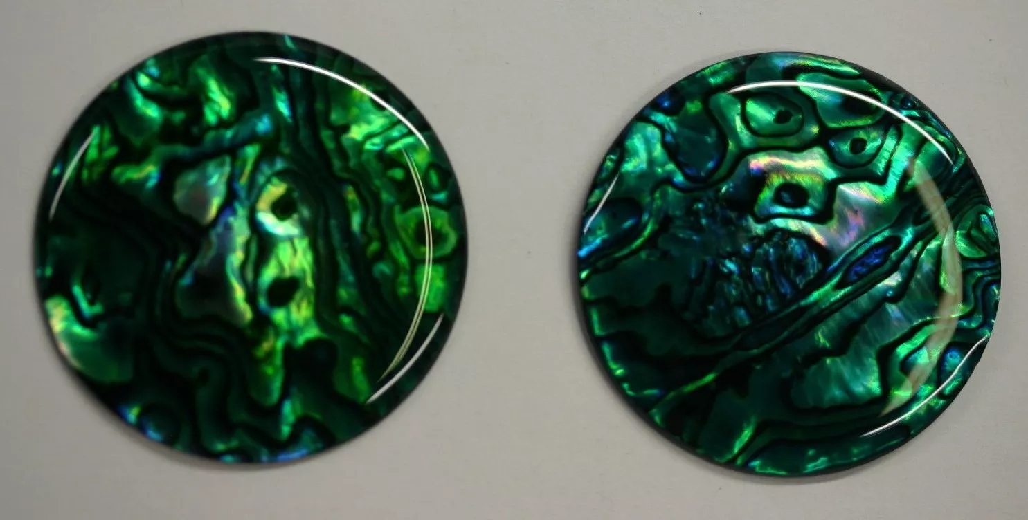 4pcs Green Paua Shell Round Cabochon 12mm