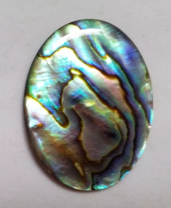 Natural Paua Shell Abalone Oval Cabochon 18x25 Cabs Jewelry Cabs