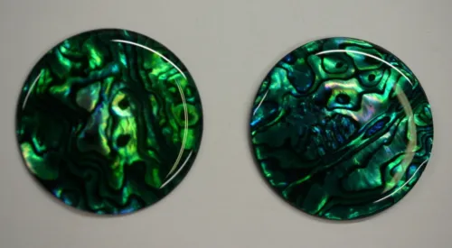 4 Green Paua Shell Round Cabochon Calibrated 5mm