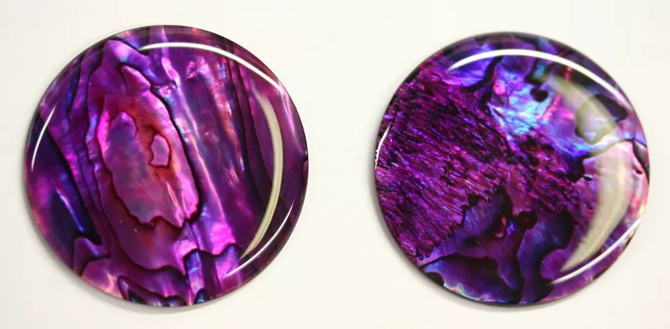 Purple Paua Shell Round High Quality Cabochon Calibrated 20mm