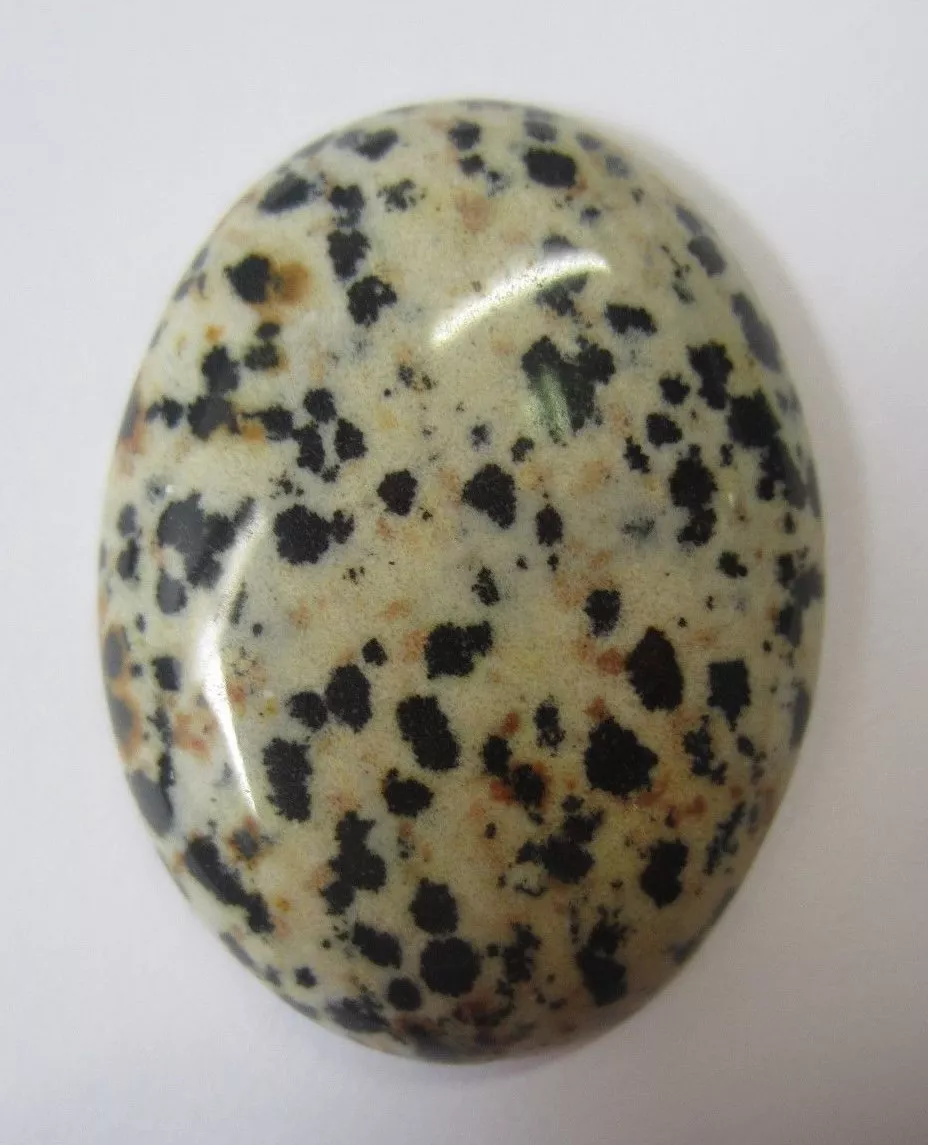 30x40mm 40x30mm Natural Oval Calibrated Dalmatian Jasper Gemstones RARE