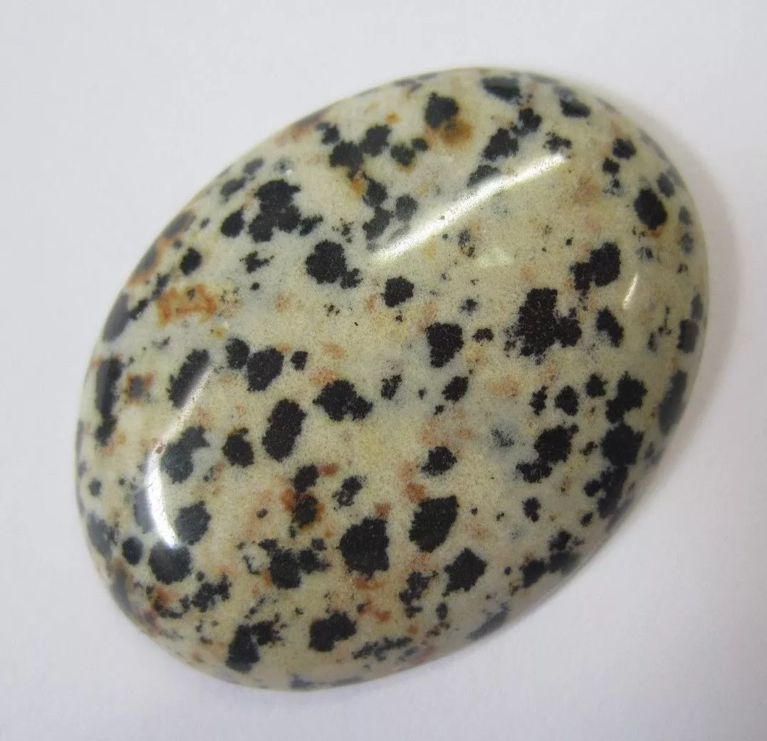 30x40mm 40x30mm Natural Oval Calibrated Dalmatian Jasper Gemstones RARE