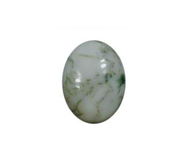 Tree Agate - 8x10 Oval