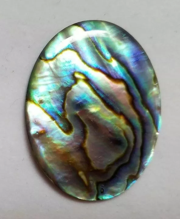 18x25mm 25x18mm Natural Paua Shell Abalone Calibrated Oval Cabochon Gems Jewelry