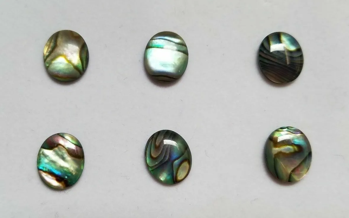 6pcs 12x16mm Natural Paua Shell Abalone Calibrated Oval Cabochon Gems Jewelry